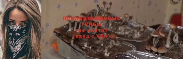 молекула духа Бородино