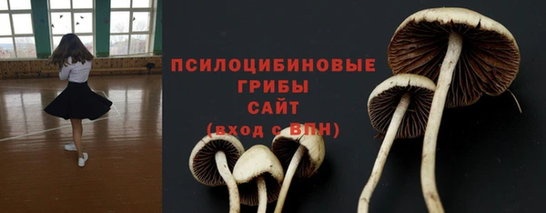 молекула духа Бородино