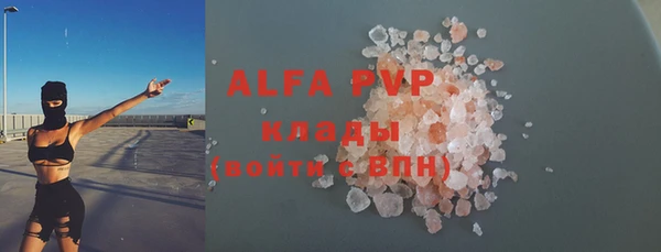 молекула духа Бородино