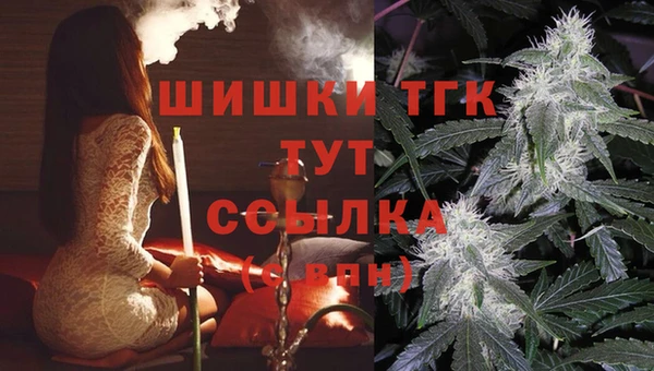молекула духа Бородино