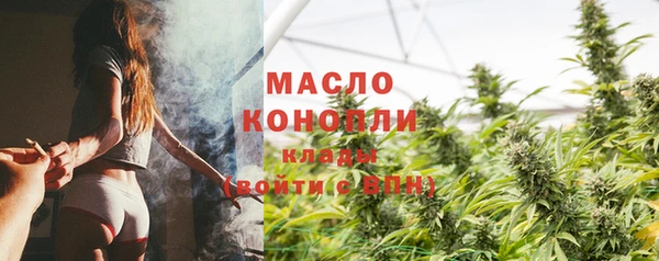 молекула духа Бородино