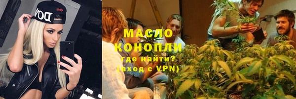 молекула духа Бородино