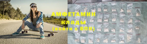 молекула духа Бородино