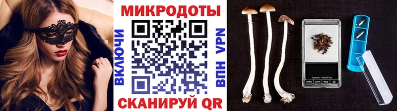 Псилоцибиновые грибы Psilocybe  Томилино 